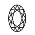 Oval icon